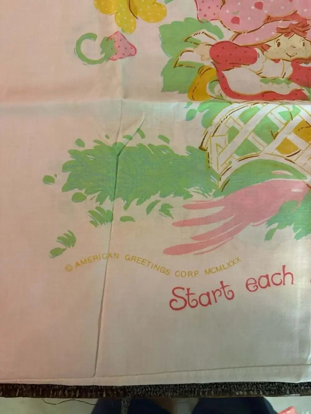 Vintage Strawberry Shortcake Pillow Case Set of 2
